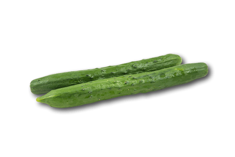 JAPANESE CUCUMBER 2 PCS